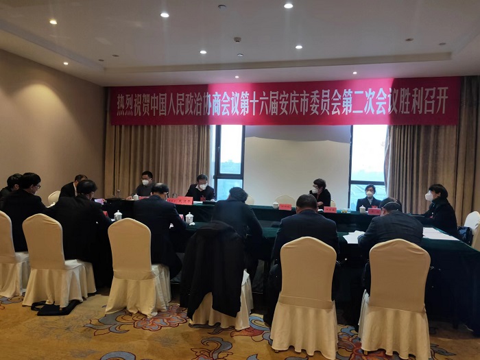 安庆民进两会人员积极建言献策